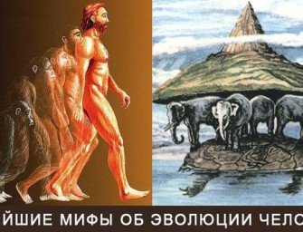 Новейшие мифы об эволюции человека