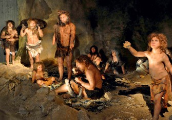 Социальные структуры предков человека