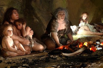 Социальные структуры предков человека