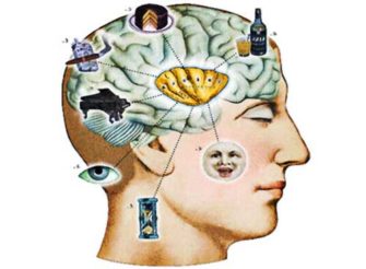 Мозг и гипоталамус: биологические потребности и нейроэндокринная регуляция.