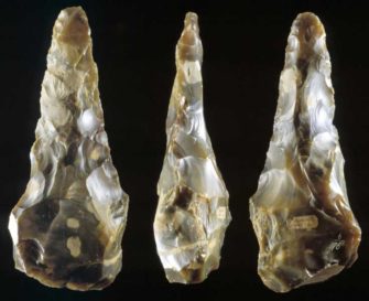 Homo heidelbergensis, пре-палеоантропы: торжество разума