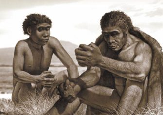 Ранние Homo: загадочный миллион и неумелые руки человека умелого