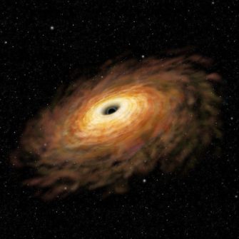 Эволюция массивных звезд и черные дыры