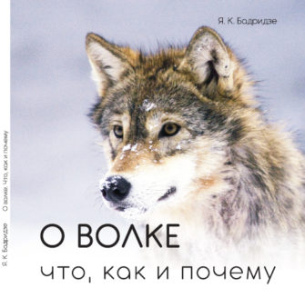 Новая книга Ясона Бадридзе! «О волке: что, как и почему»