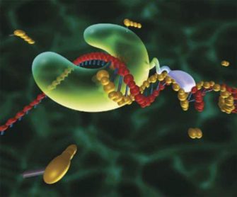 Происхождение ДНК и систем ее копирования
