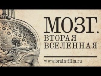 Показ кинофильма «Мозг. Вторая Вселенная» + Q&A