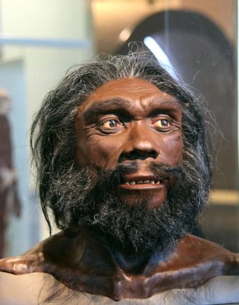Онлайн-лекция «Homo heidelbergensis, пре-палеоантропы: торжество разума» (Антропогенез)