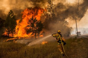 «Лесные пожары: мифы и реальность» с Алексеем Ярошенко