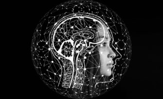 Курс В.А. Дубынина «Мозг человека: основные функции»