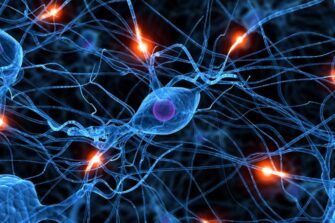 Лекция «Нейроны и потенциалы действия: как генерируются и распространяются нервные импульсы»