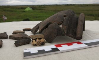 Онлайн-лекция «Средневековая деревня глазами археолога: Повседневные заботы и предметный мир»