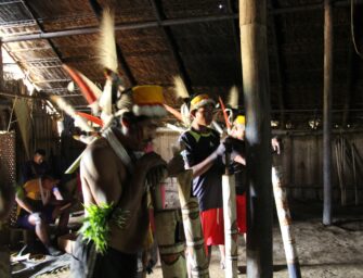 Курс «Культура коренных жителей Амазонии»