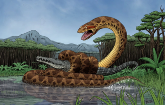 Онлайн-занятие для детей «Ошшшеломительная эволюция змей!»