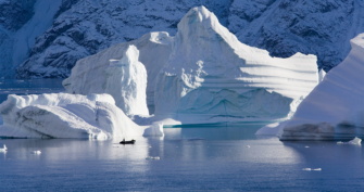 Онлайн-лекция «Глобальное потепление: ледники и океан»